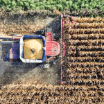 Cotas de açúcar e etanol ganham força com sindicato pressionando por equilíbrio regional no acordo Mercosul-UE