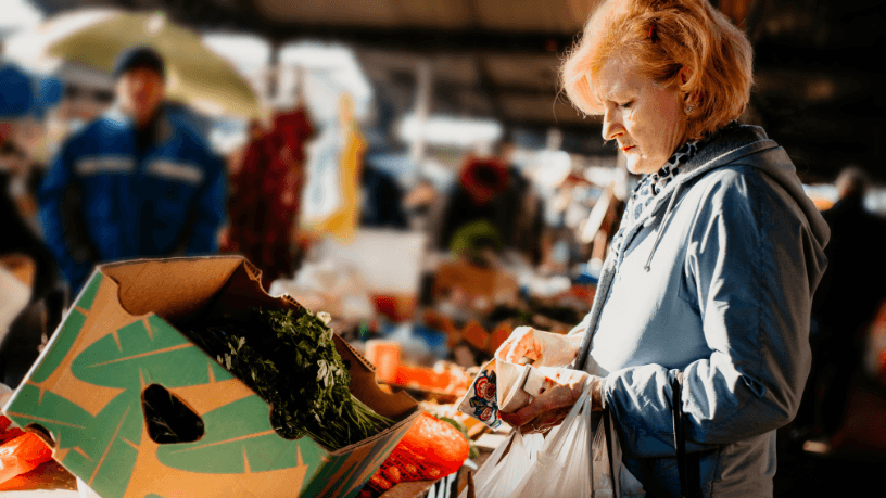 Auxílio Nutrição e Sindicatos de Servidores Aposentados: Reivindicações e Impactos no Funcionalismo Público