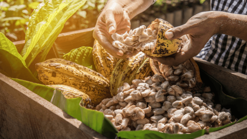 Alfredo Moreira Filho