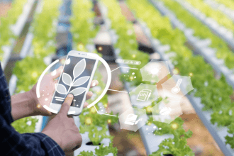 Parajara Moraes Alves Junior