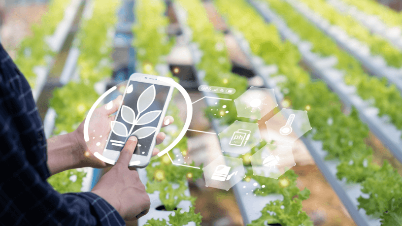 Parajara Moraes Alves Junior