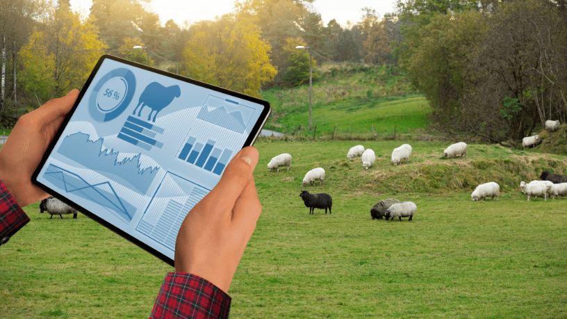 Parajara Moraes Alves Junior