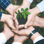 Versa Engenharia Ambiental Ltda